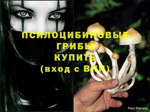 метадон Козловка