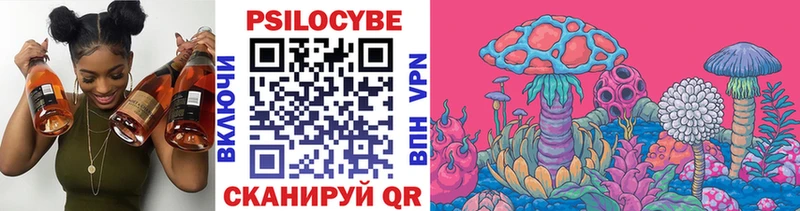 Купить  Стрежевой  Псилоцибиновые грибы Psilocybe 